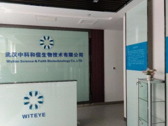 十二載匠心鑄就品質(zhì) 武漢專業(yè)發(fā)光字廣告牌與噴繪招牌制作安裝